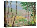 Stretched Canvas