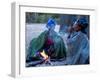 Jul'Hoan !Kung Bushman, Two Women Smoke around Fire in Village, Bushmanland, Namibia-Kim Walker-Framed Premium Photographic Print