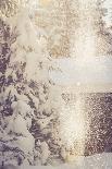 Forest, winter, snow-Jule Leibnitz-Photographic Print