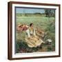Brown Frame
