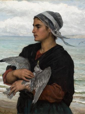 The Wounded Sea Gull, 1878