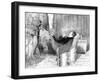 Jules De Concourt, 1857-Edmond De Concourt-Framed Giclee Print
