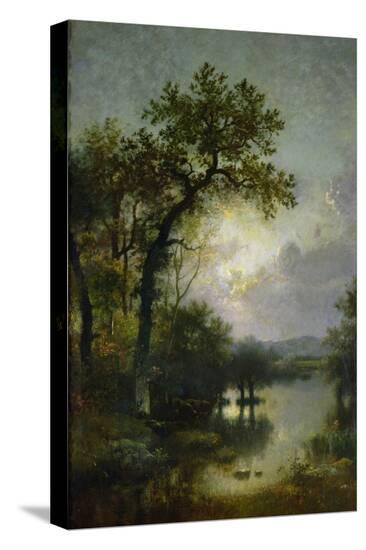 Stretched Canvas Print, , large