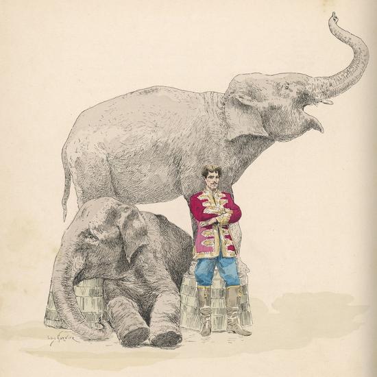 Art Print, , large