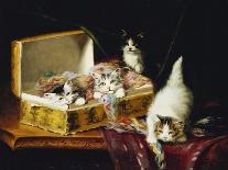 In the Needle Box, (Oil on Canvas)-Jules Leroy-Giclee Print