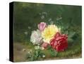 Stretched Canvas