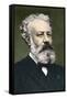 Jules Verne (1828-1905), French Writer, by Carjat-Etienne Carjat-Framed Stretched Canvas
