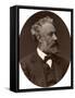 Jules Verne, French Novelist, 1877-Lock & Whitfield-Framed Stretched Canvas