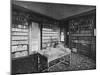 Jules Verne, Library-C Herbert-Mounted Photographic Print