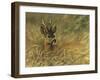 JULI GROOT-Rien Poortvliet-Framed Giclee Print