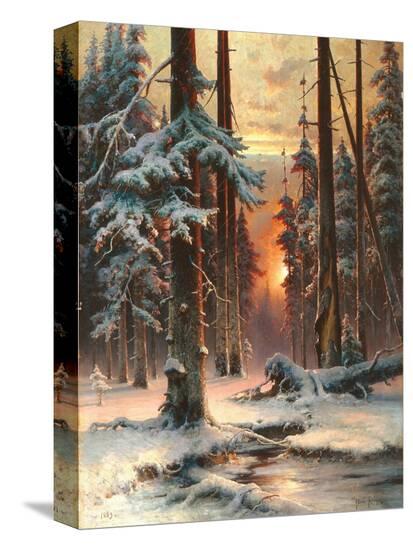 Stretched Canvas Print, , large
