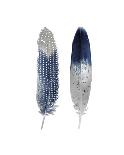 Blue Feather Pair-Julia Bosco-Giclee Print