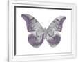 Gramercy White