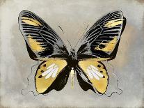 Golden Butterfly IV-Julia Bosco-Art Print