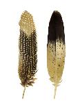 Gold Feather Pair-Julia Bosco-Art Print