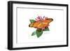 Julia Butterfly-Tim Knepp-Framed Giclee Print