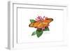 Julia Butterfly-Tim Knepp-Framed Giclee Print