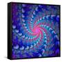 Julia Fractal-Laguna Design-Framed Stretched Canvas