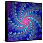 Julia Fractal-Laguna Design-Framed Stretched Canvas