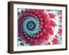 Julia Fractal-Laguna Design-Framed Photographic Print