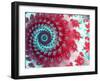 Julia Fractal-Laguna Design-Framed Photographic Print