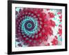 Julia Fractal-Laguna Design-Framed Photographic Print