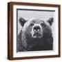 Brown Frame
