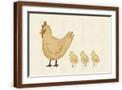 Brown Frame