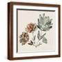 Brown Frame