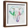 Brown Frame