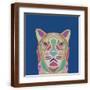 Brown Frame