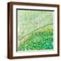 Brown Frame