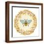 Brown Frame