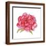 Brown Frame