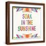Brown Frame