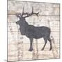 Wood Mount