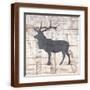 Brown Frame