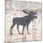 Wood Mount