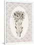Gramercy White
