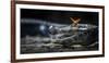 Julia Heleconia (Dryas Julia) Butterfly on Head of Yacare Caiman (Caiman Yacare) Pantanal, Brazil-Wim van den Heever-Framed Photographic Print