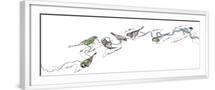 White Frame