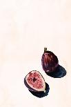 Summer Figs-Julia-Giclee Print