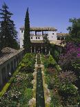 Gardens of the Generalife, the Alhambra, Granada, Andalucia (Andalusia), Spain, Europe-Julia Thorne-Photographic Print