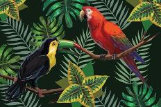 Vector Painting with Tropical Birds and Plants on Dark Background. Eps8 File.-JuliaL-Art Print