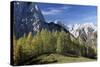 Julian Alps, Slovenia-David Baker-Stretched Canvas
