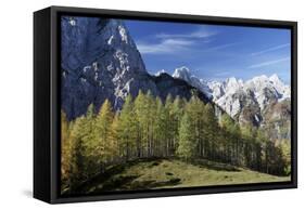 Julian Alps, Slovenia-David Baker-Framed Stretched Canvas