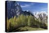 Julian Alps, Slovenia-David Baker-Stretched Canvas