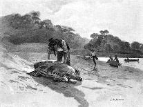 Turtle Catching, 1886-Julian Ashton-Framed Giclee Print