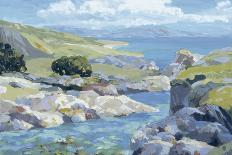 Summer Cove-Julian Askins-Art Print