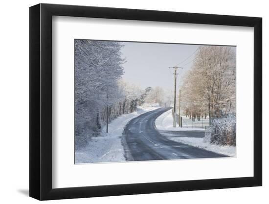 Premium Photographic Print, , large
